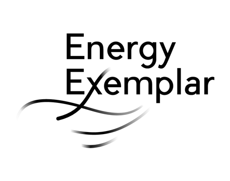 Energy Exemplar